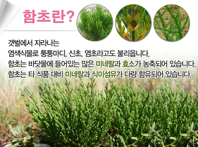 함초원 함초 콩알된장 PET 썸네일 3