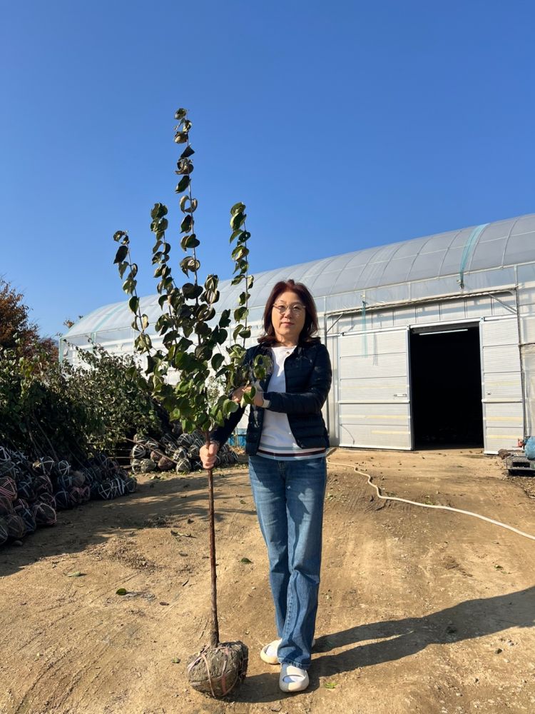 풀목산 국산콩 한식 쌈장 썸네일 2