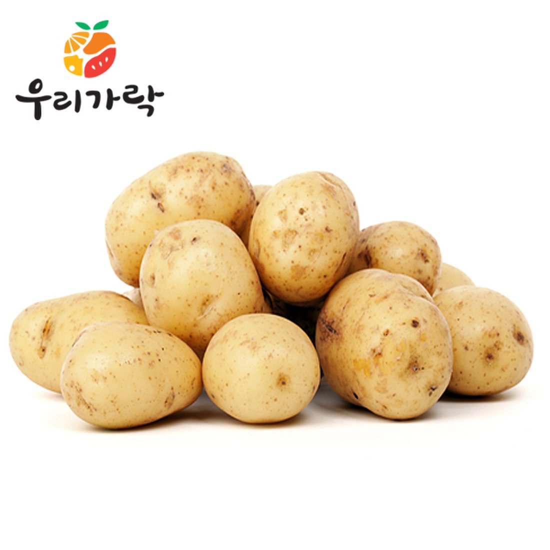 고성산업사 고성감자(폴란드)20kg 썸네일 2