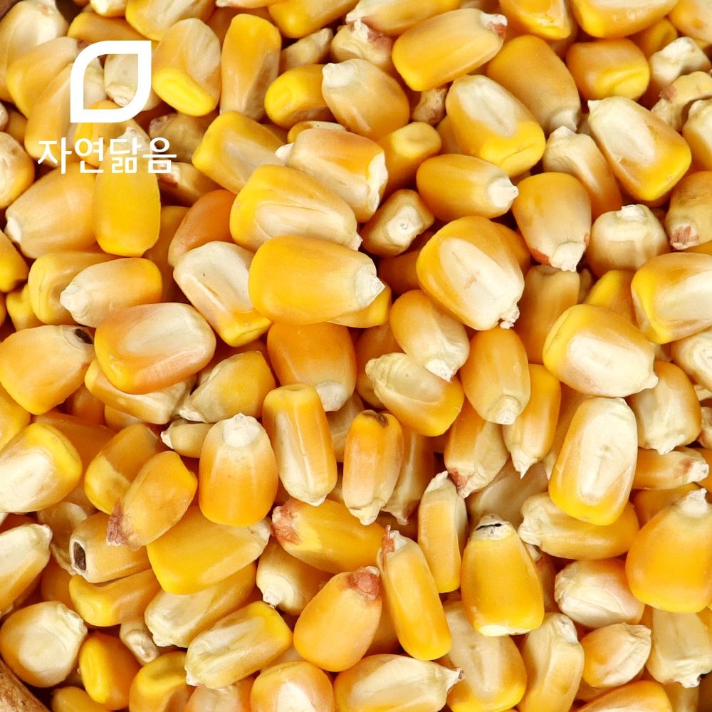 홈플러스알뜰상품_옥수수차_1KG 썸네일 2