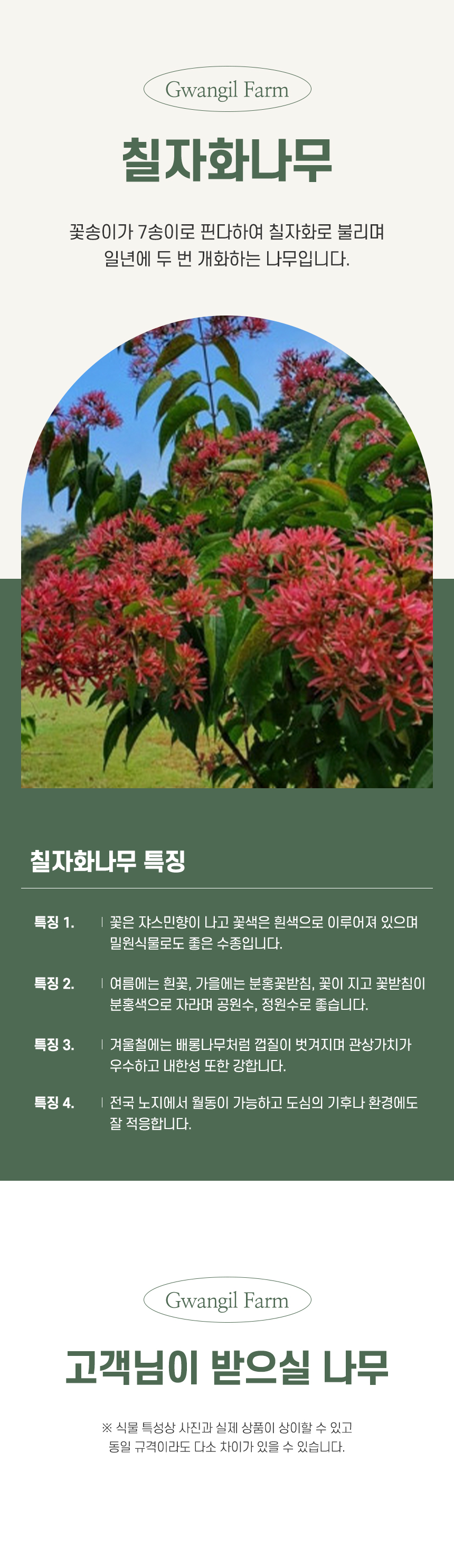 홍화원(주)농업회사법인 지리산느릅나무환 250G 썸네일 2