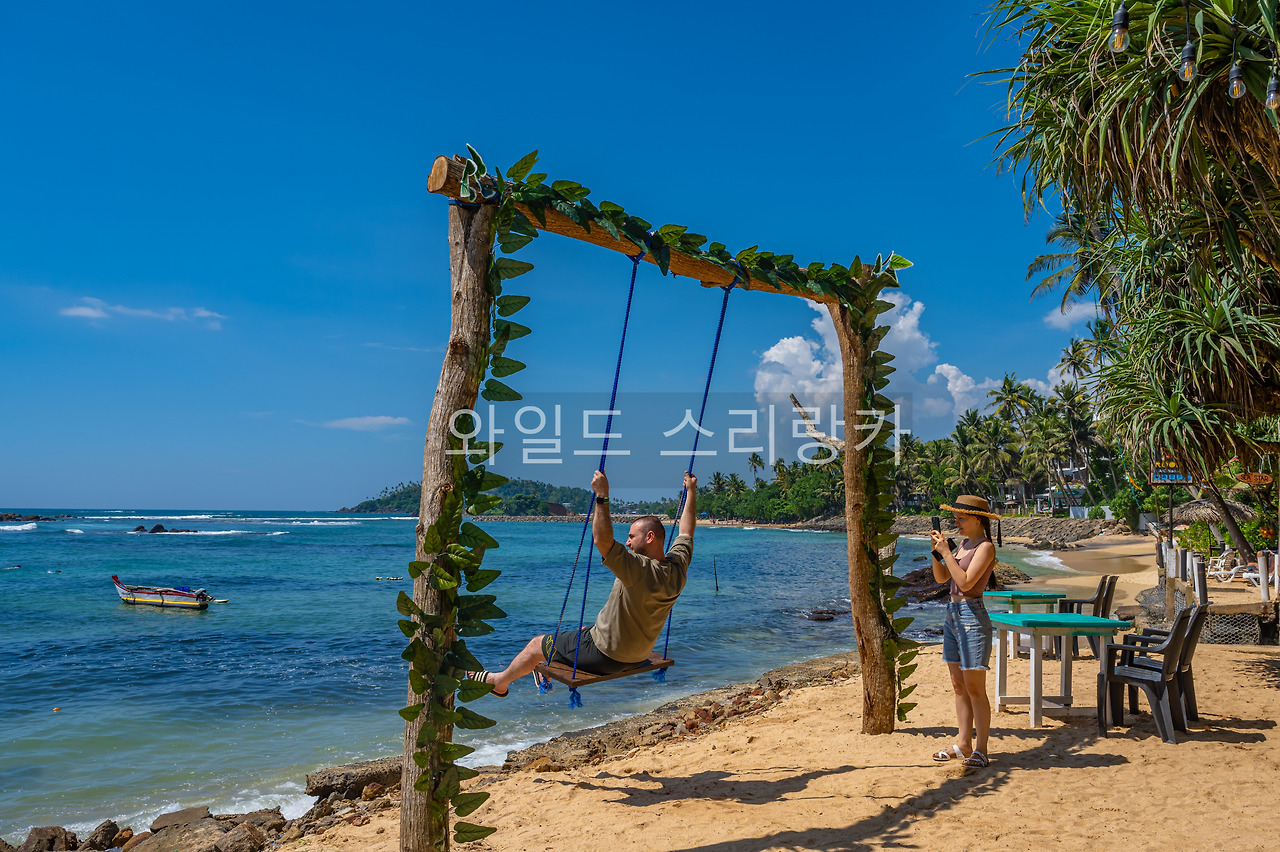 나홀로 코코넛 언덕 썸네일 2