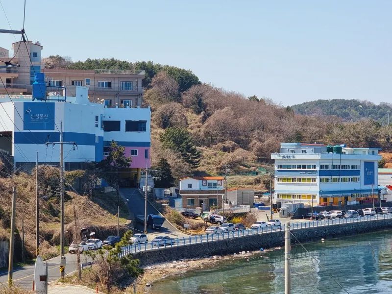 굴 썸네일 3