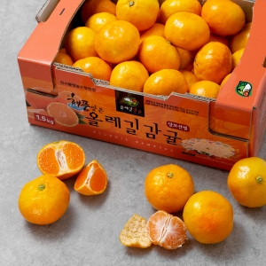 참맛촌 더덕무침 5kg 썸네일 2