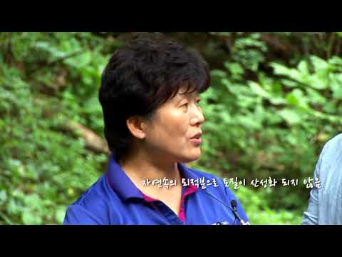평창오가피숙성막장500g 썸네일 3