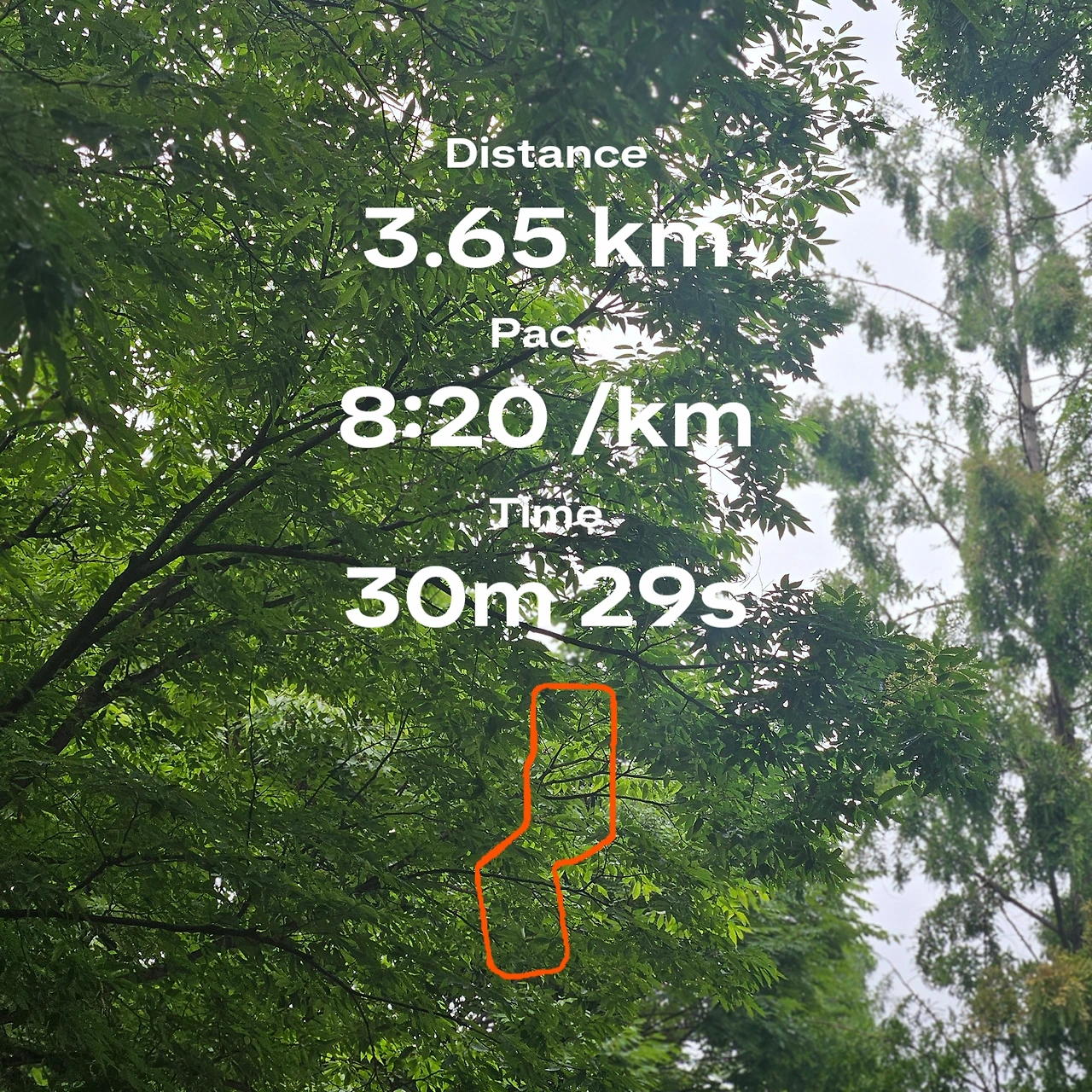 42.195km(30본입) 썸네일 3