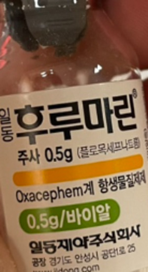 일동 생강쌍감 incase 썸네일 2