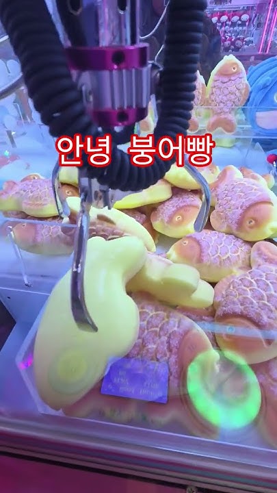 붕어빵말랑이 썸네일 3