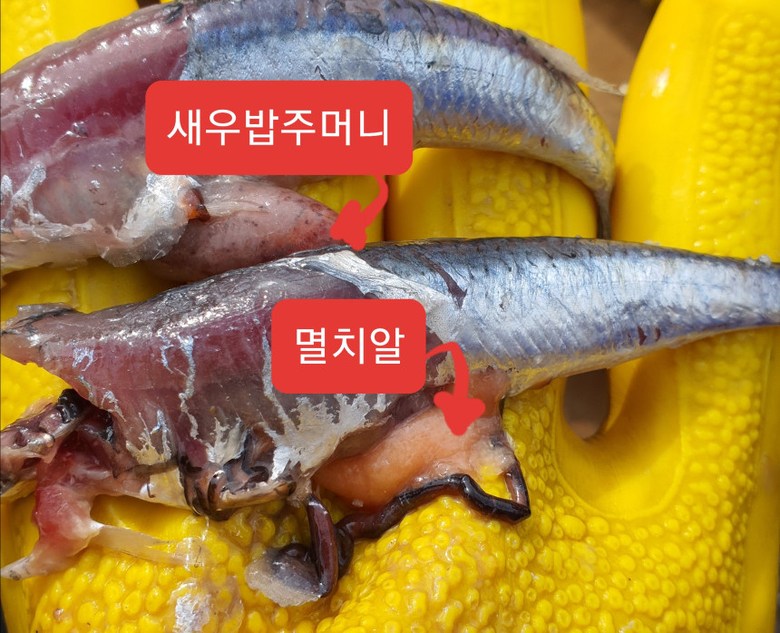 멸치젓 생멸치75% 450G 썸네일 3