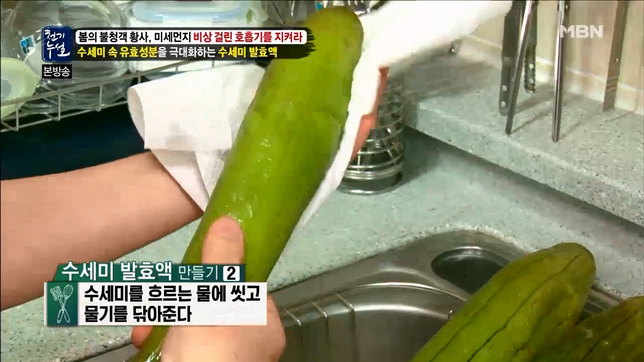 수세미 발효액 썸네일 2