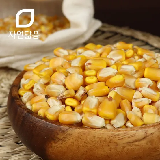 옥수수차 1KG 썸네일 2