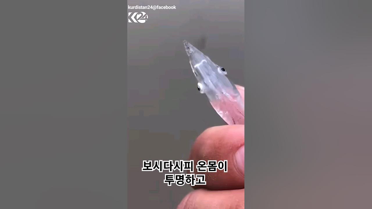 완전투명 탑로더세로 썸네일 2