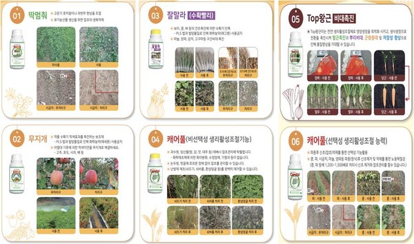 한아인진쑥환150g 썸네일 2