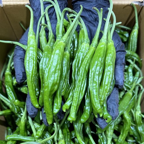 산천고추 1kg 썸네일 3