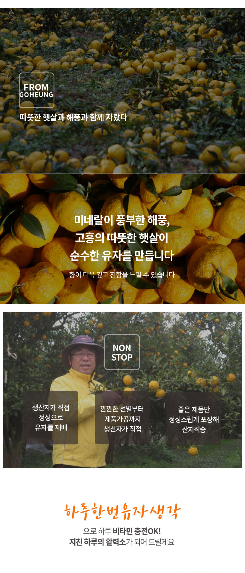 유자분말 썸네일 3