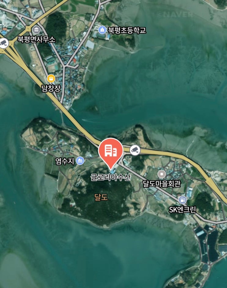 해삼전복환 썸네일 3