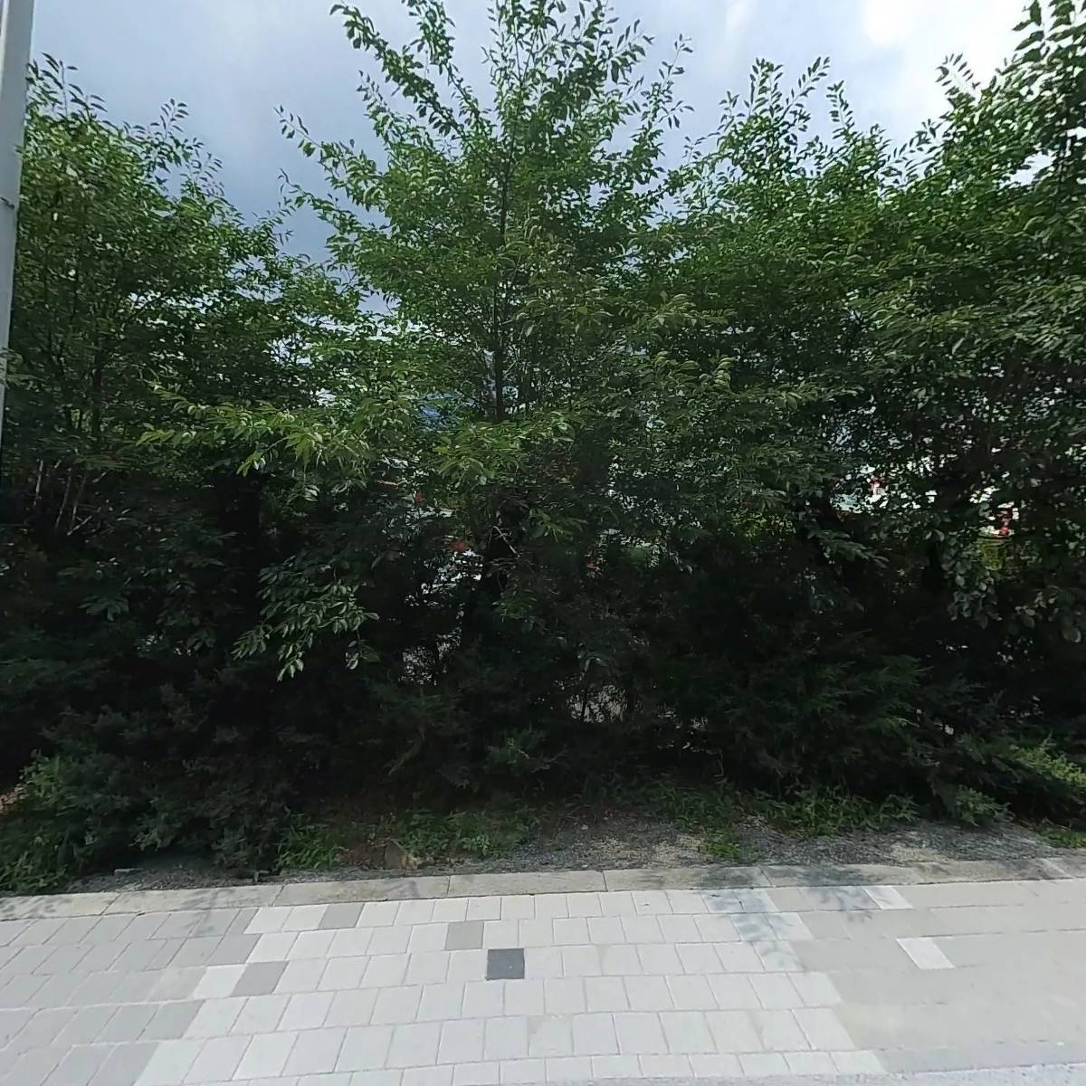 평화)쌀떡800g 썸네일 2