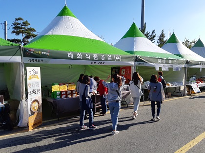 녹차약과 썸네일 2