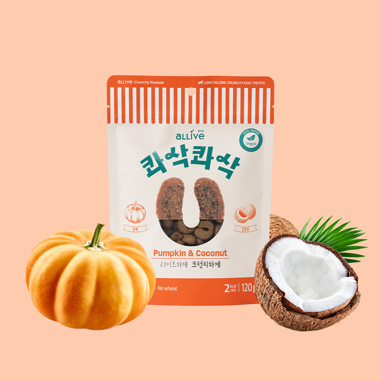 제이앤이 와이즐렉 코코넛&피넛팝콘 120g 썸네일 2