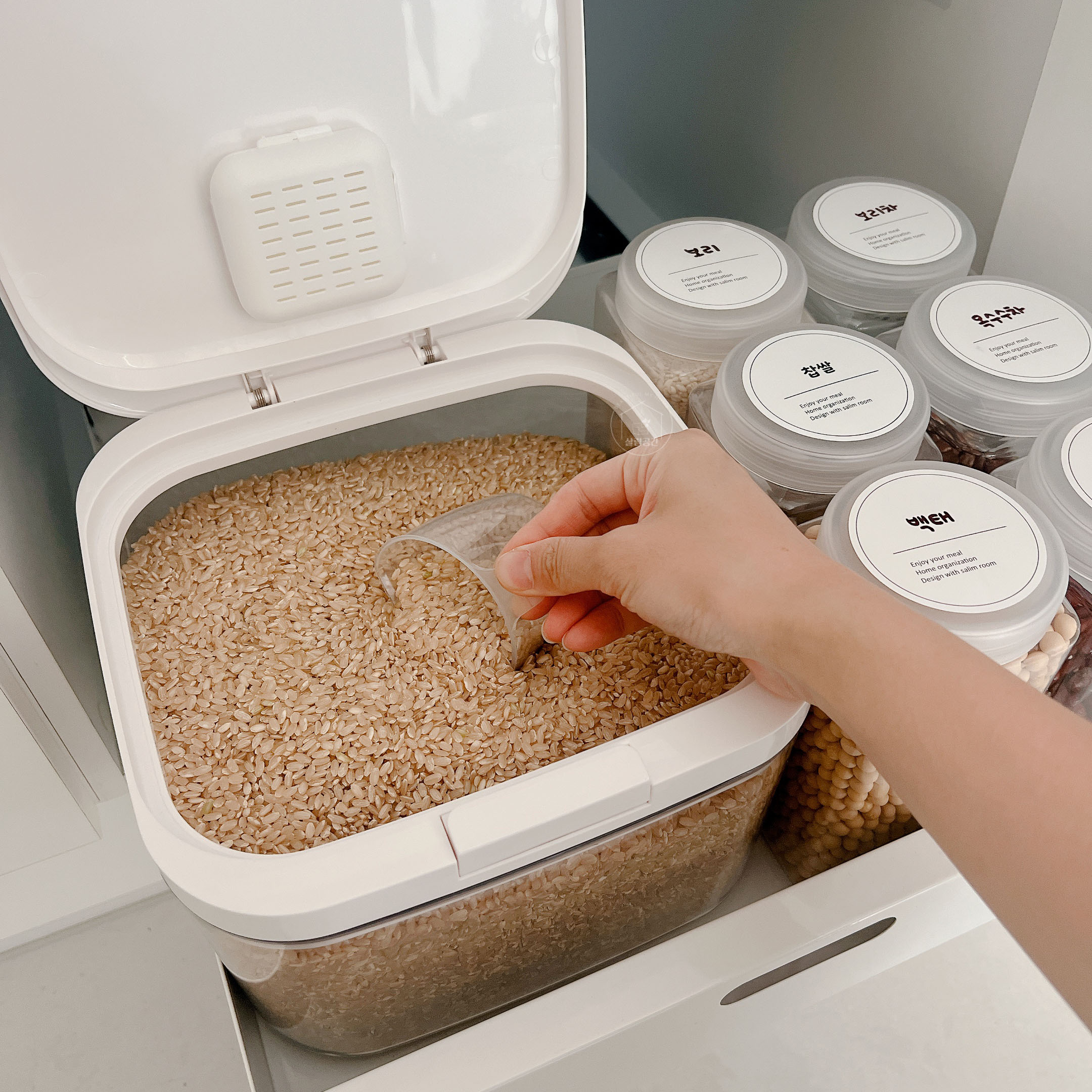 산천5kg 썸네일 3