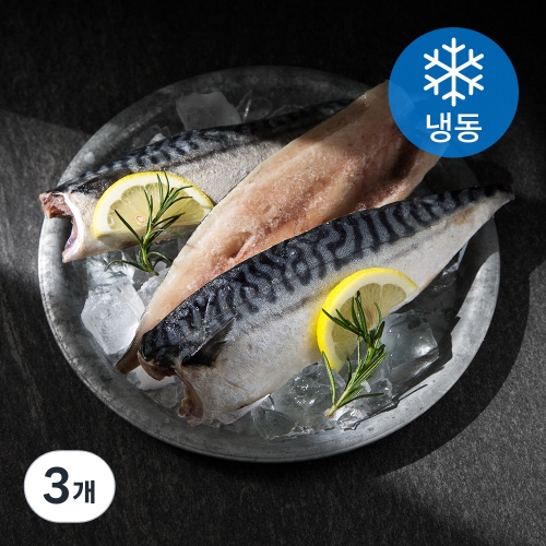 영어조합법인 서풍 국산 가자미 500g 썸네일 3