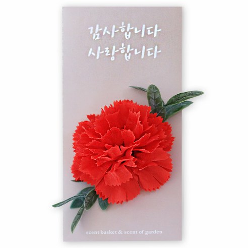 카네이션 용돈 봉투카드 아빠 썸네일 3