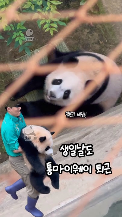 2단분리 쌍권총워터건 썸네일 3