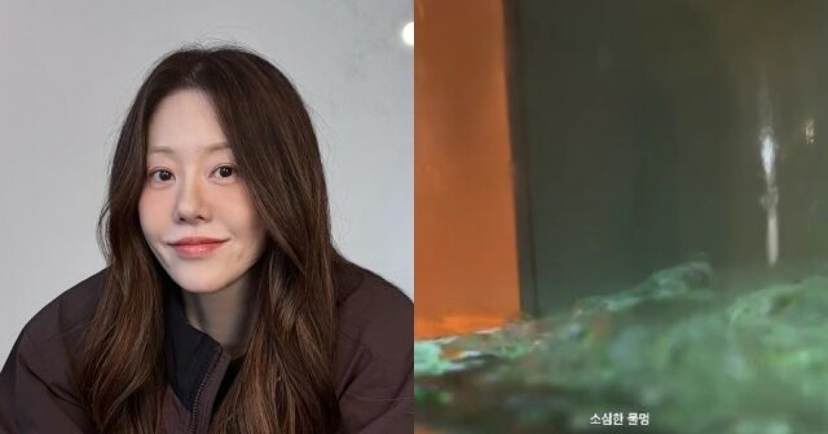 힐링타임! 물멍 때리기 썸네일 2