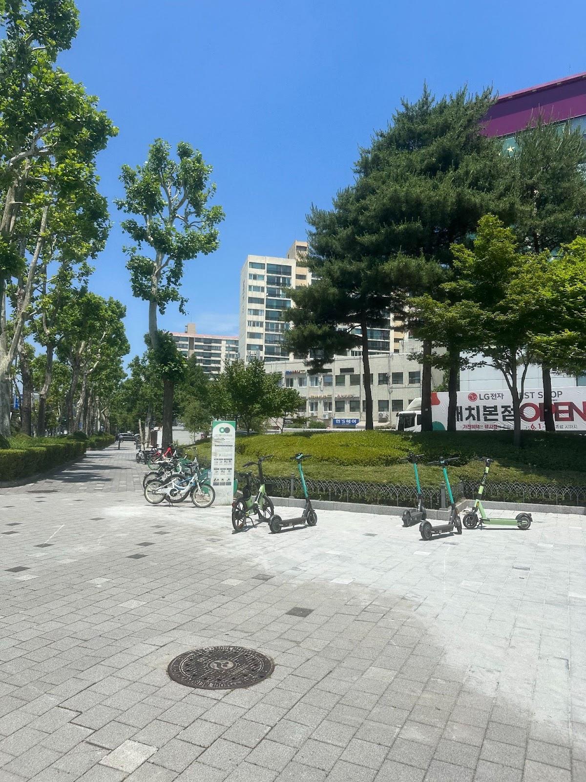 티젠 마음티(강남사우나) 썸네일 3