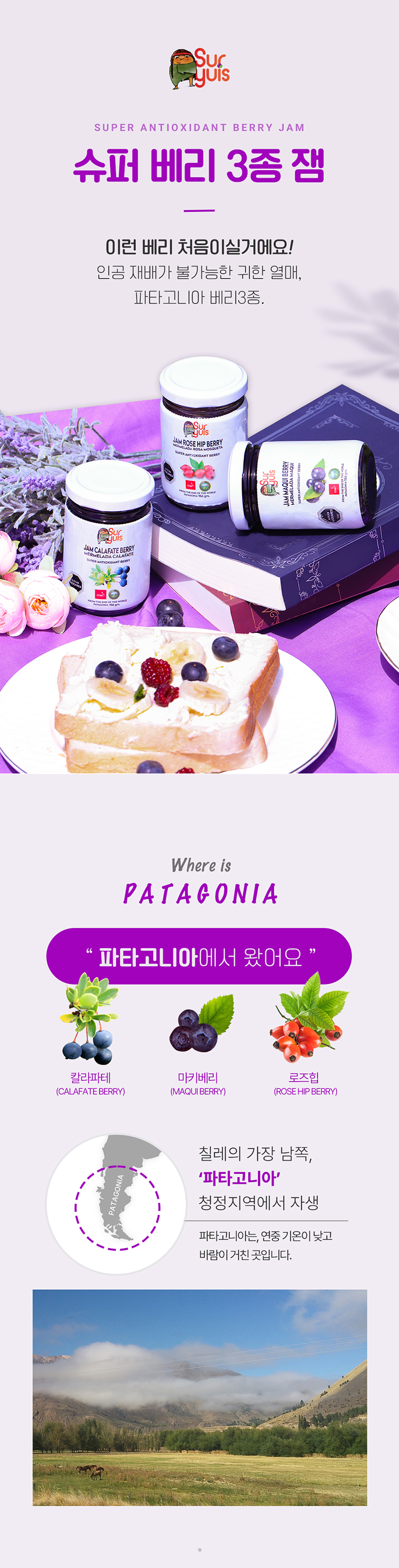 베리너리슈퍼베리500ml 썸네일 2