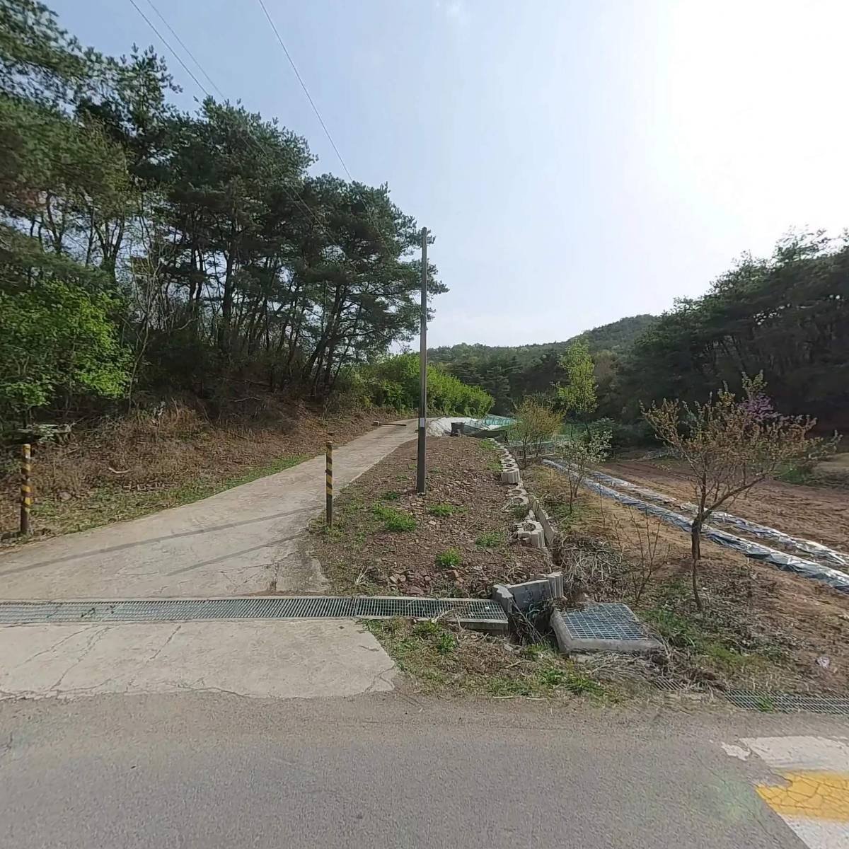 남도연근부각 썸네일 2
