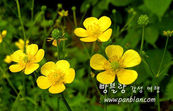 오늘의 쉼표 썸네일 2