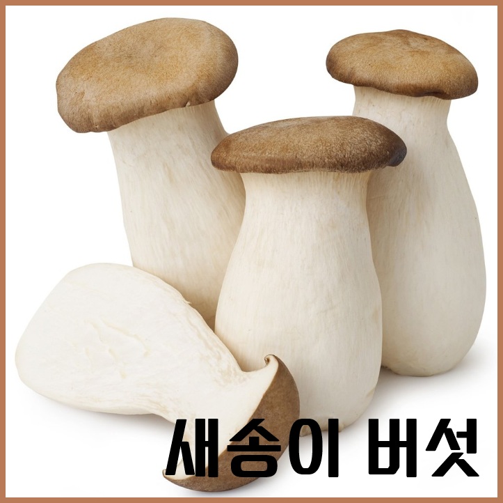 새송이버섯스낵 썸네일 3