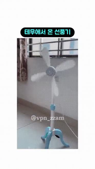 테무에서 온 왁푸팩말랑이 썸네일 2