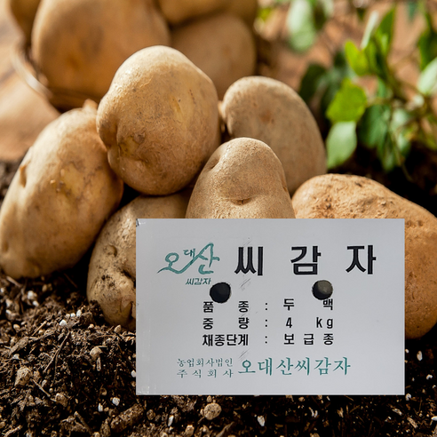 씨엔치자연근조림(20kg) 썸네일 3