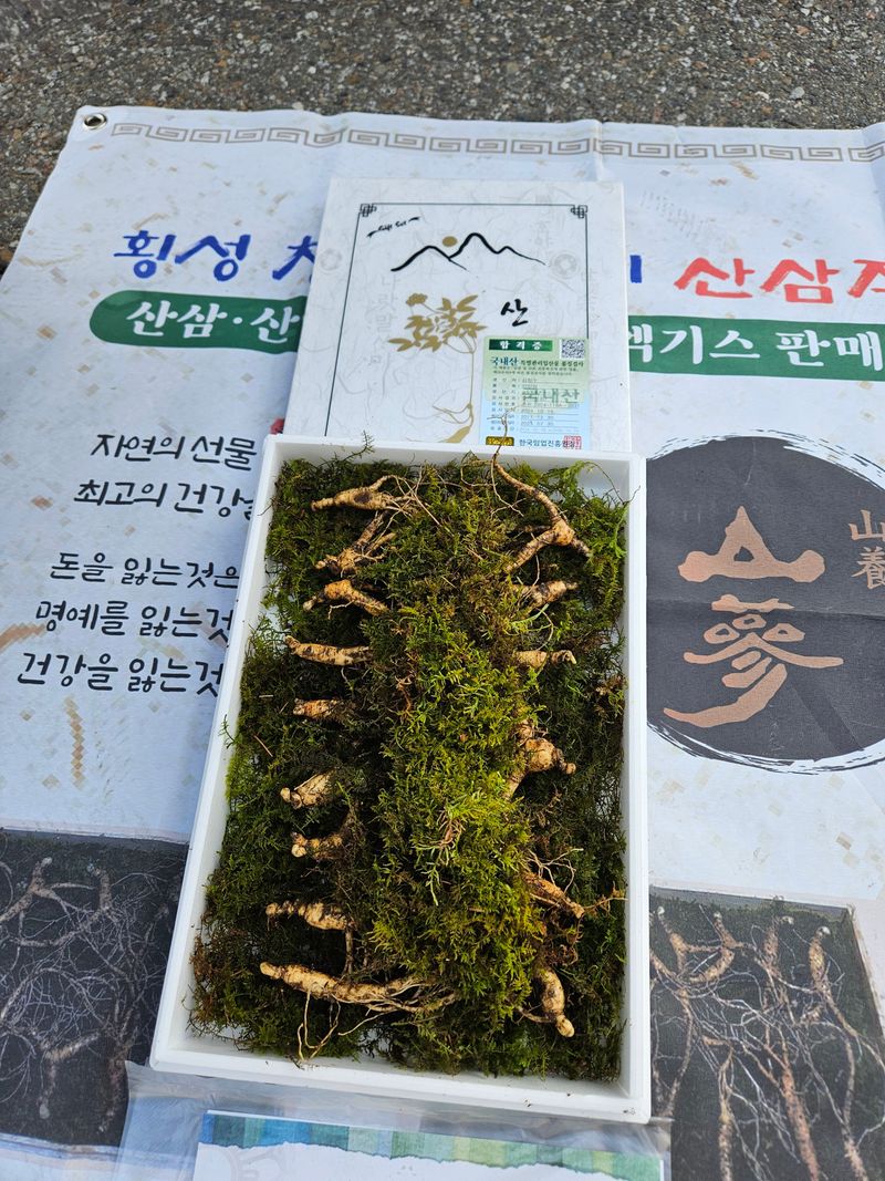 태웅식품 장뇌산삼 썸네일 3