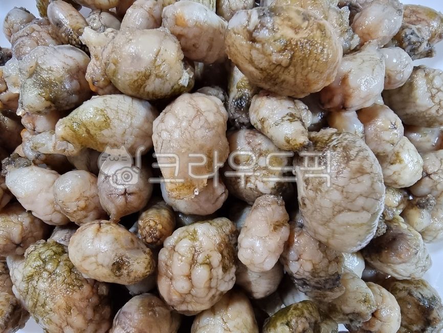경해식품미더덕영어조합법인 오만둥이젓갈500g 썸네일 2
