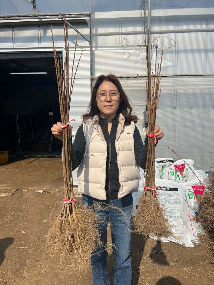 풀목산 국산콩 한식 쌈장 썸네일 2