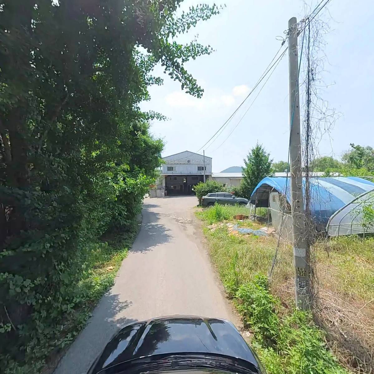 명가알탕 썸네일 2