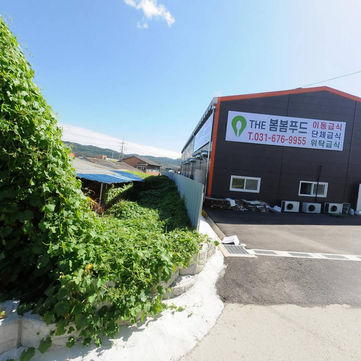 그린남도반찬영양오징어(국내산)10kg 썸네일 2