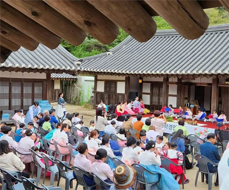 순천만야생화꽃차연구회쑥꽃차25g지관1개 썸네일 3