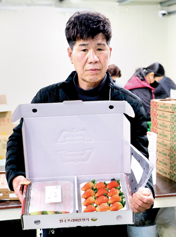 꿈앤들딸기꽁꽁박스 썸네일 3
