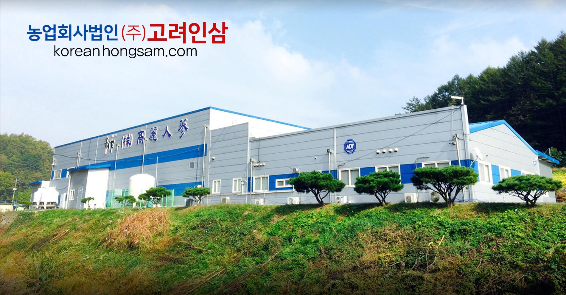 기순도청국장환g 썸네일 3