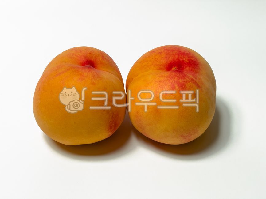 황도 썸네일 2