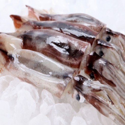 오징어활복(2kg)국산 썸네일 3