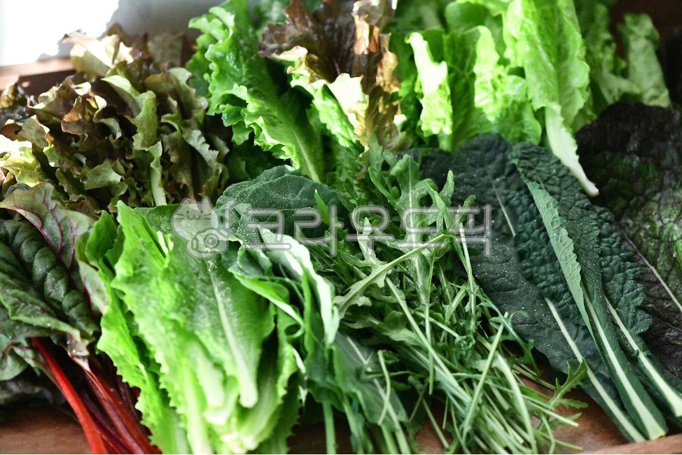 재래식손순두부정(야채) 650G 썸네일 3