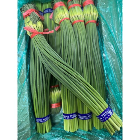 마늘쫑2kg 썸네일 2