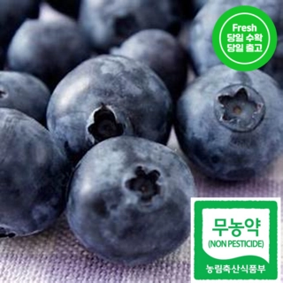 홈플러스 좋은상품 블루베리 1.5 썸네일 3