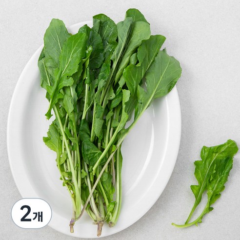 페파민트(국내산)30g 썸네일 3