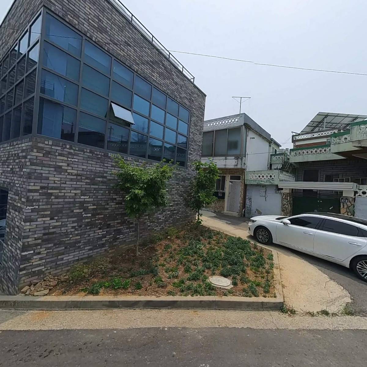 백년초두텁떡 썸네일 2